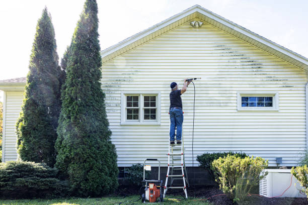 Best Roof Washing  in Cape May Court House, NJ
